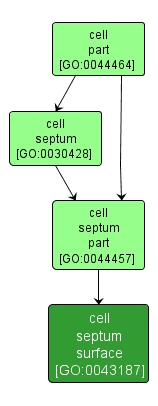 GO:0043187 - cell septum surface (interactive image map)