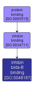 GO:0048187 - inhibin beta-B binding (interactive image map)