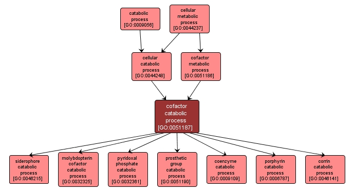 GO:0051187 - cofactor catabolic process (interactive image map)