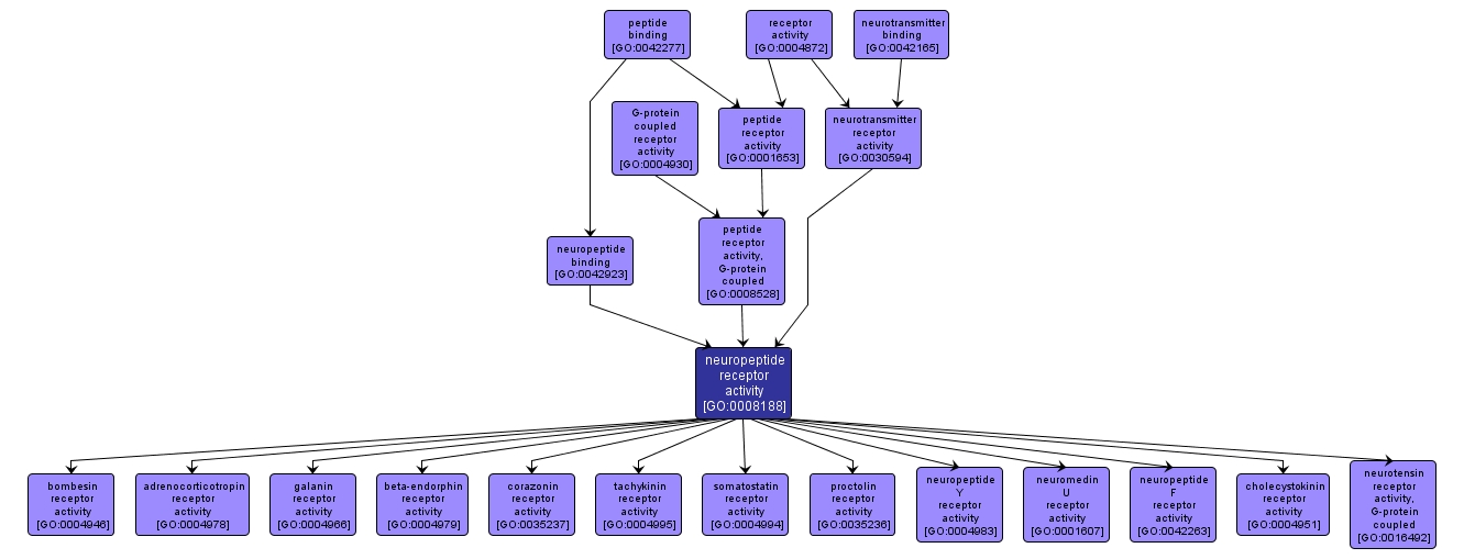 GO:0008188 - neuropeptide receptor activity (interactive image map)
