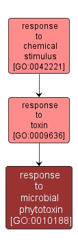 GO:0010188 - response to microbial phytotoxin (interactive image map)