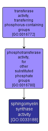 GO:0033188 - sphingomyelin synthase activity (interactive image map)