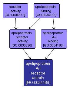 GO:0034188 - apolipoprotein A-I receptor activity (interactive image map)