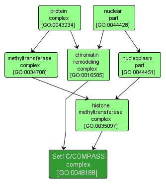 GO:0048188 - Set1C/COMPASS complex (interactive image map)