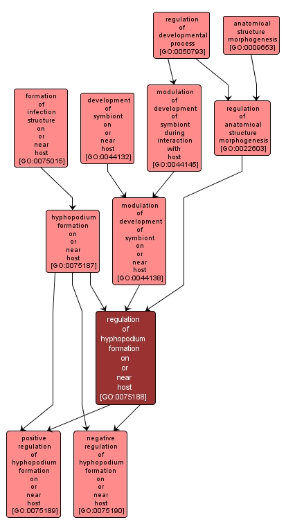 GO:0075188 - regulation of hyphopodium formation on or near host (interactive image map)