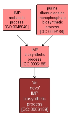 GO:0006189 - 'de novo' IMP biosynthetic process (interactive image map)