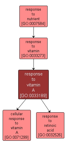 GO:0033189 - response to vitamin A (interactive image map)