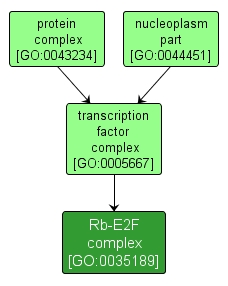 GO:0035189 - Rb-E2F complex (interactive image map)