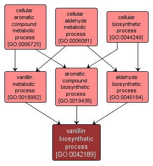 GO:0042189 - vanillin biosynthetic process (interactive image map)