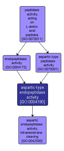 GO:0004190 - aspartic-type endopeptidase activity (interactive image map)