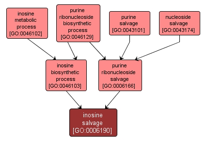 GO:0006190 - inosine salvage (interactive image map)