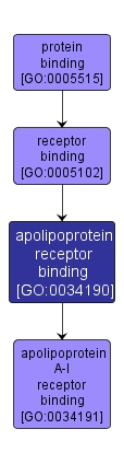 GO:0034190 - apolipoprotein receptor binding (interactive image map)