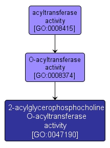 GO:0047190 - 2-acylglycerophosphocholine O-acyltransferase activity (interactive image map)