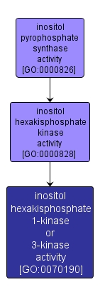GO:0070190 - inositol hexakisphosphate 1-kinase or 3-kinase activity (interactive image map)