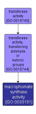 GO:0033191 - macrophomate synthase activity (interactive image map)