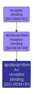 GO:0034191 - apolipoprotein A-I receptor binding (interactive image map)