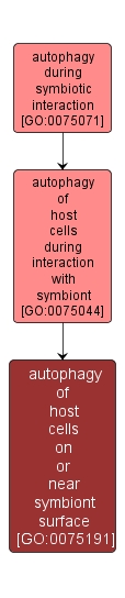 GO:0075191 - autophagy of host cells on or near symbiont surface (interactive image map)