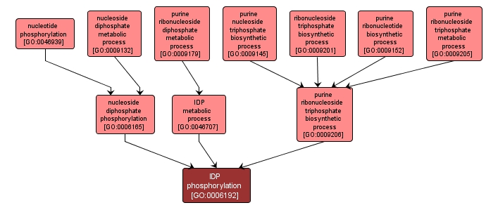 GO:0006192 - IDP phosphorylation (interactive image map)