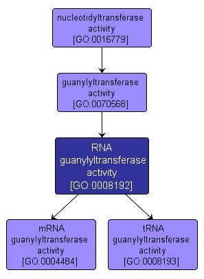 GO:0008192 - RNA guanylyltransferase activity (interactive image map)