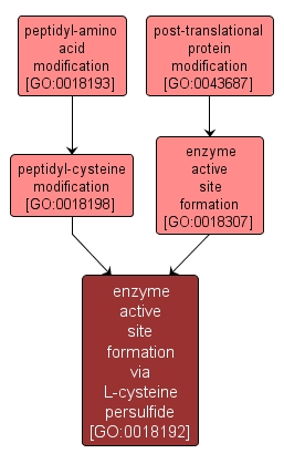 GO:0018192 - enzyme active site formation via L-cysteine persulfide (interactive image map)
