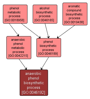 GO:0046192 - anaerobic phenol biosynthetic process (interactive image map)