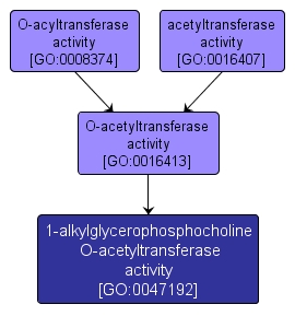 GO:0047192 - 1-alkylglycerophosphocholine O-acetyltransferase activity (interactive image map)
