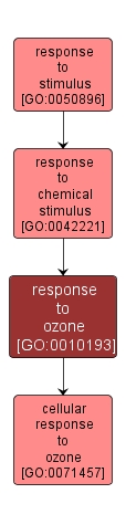GO:0010193 - response to ozone (interactive image map)