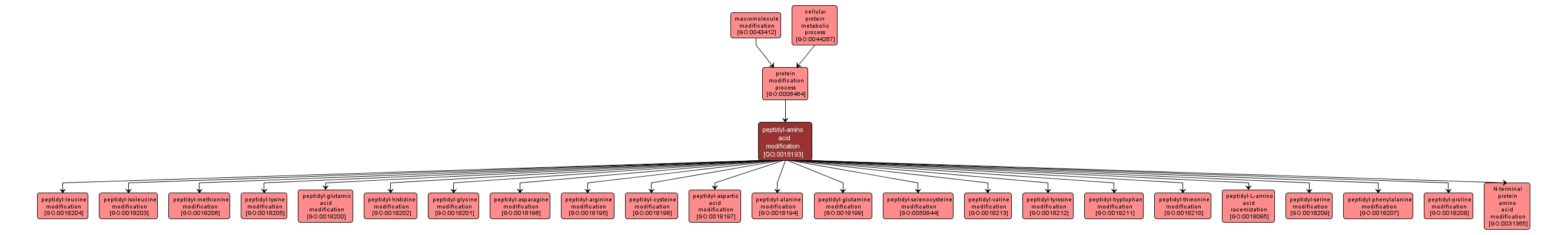 GO:0018193 - peptidyl-amino acid modification (interactive image map)