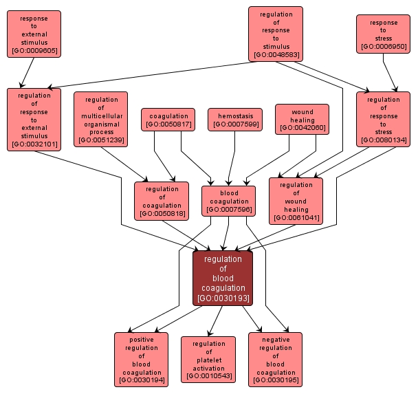 GO:0030193 - regulation of blood coagulation (interactive image map)