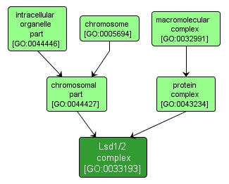 GO:0033193 - Lsd1/2 complex (interactive image map)