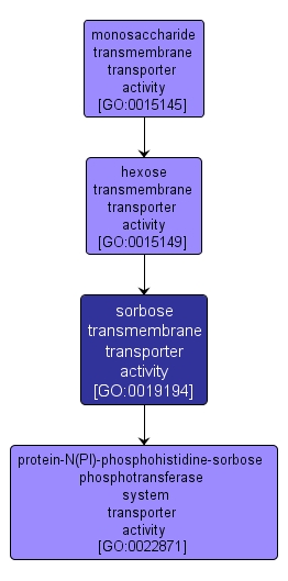 GO:0019194 - sorbose transmembrane transporter activity (interactive image map)