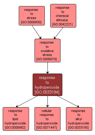 GO:0033194 - response to hydroperoxide (interactive image map)