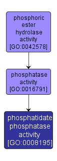 GO:0008195 - phosphatidate phosphatase activity (interactive image map)