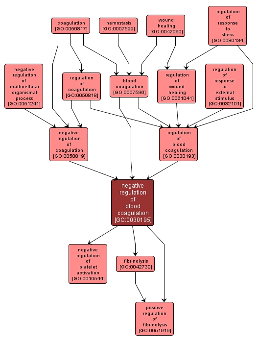 GO:0030195 - negative regulation of blood coagulation (interactive image map)