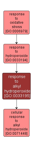 GO:0033195 - response to alkyl hydroperoxide (interactive image map)