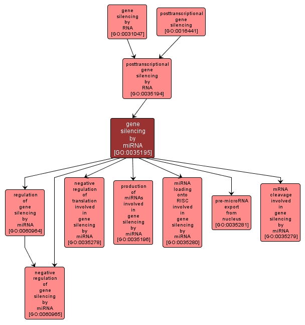 GO:0035195 - gene silencing by miRNA (interactive image map)