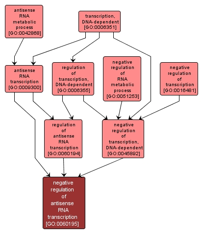 GO:0060195 - negative regulation of antisense RNA transcription (interactive image map)