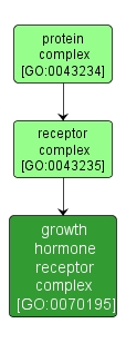 GO:0070195 - growth hormone receptor complex (interactive image map)