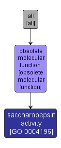 GO:0004196 - saccharopepsin activity (interactive image map)