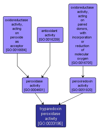 GO:0033196 - tryparedoxin peroxidase activity (interactive image map)