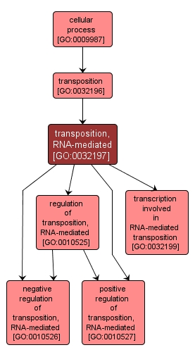 GO:0032197 - transposition, RNA-mediated (interactive image map)