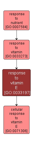 GO:0033197 - response to vitamin E (interactive image map)