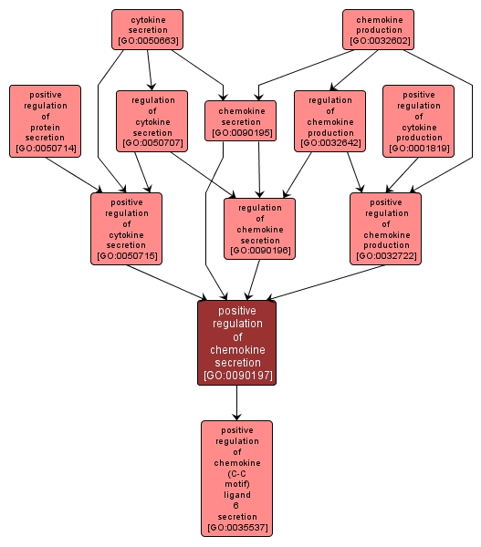 GO:0090197 - positive regulation of chemokine secretion (interactive image map)