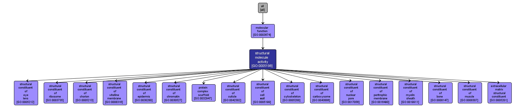 GO:0005198 - structural molecule activity (interactive image map)