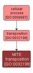 GO:0032198 - MITE transposition (interactive image map)