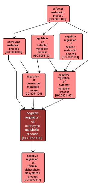 GO:0051198 - negative regulation of coenzyme metabolic process (interactive image map)