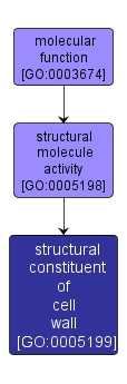 GO:0005199 - structural constituent of cell wall (interactive image map)
