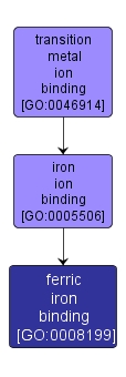 GO:0008199 - ferric iron binding (interactive image map)