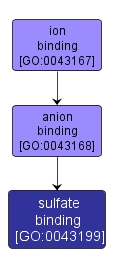 GO:0043199 - sulfate binding (interactive image map)
