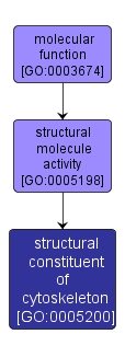 GO:0005200 - structural constituent of cytoskeleton (interactive image map)